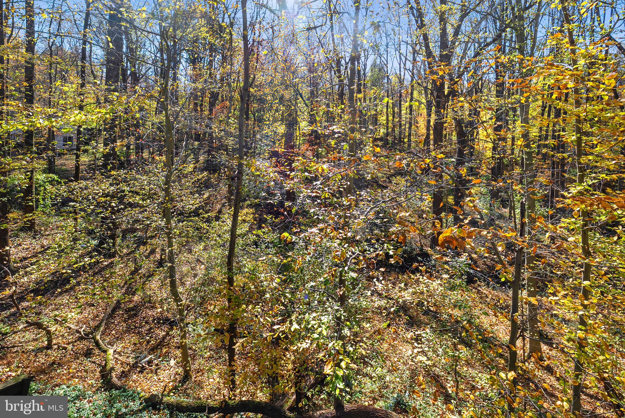 36 Constantine Drive Phoenix, MD 21131 - Photo 36 of 41