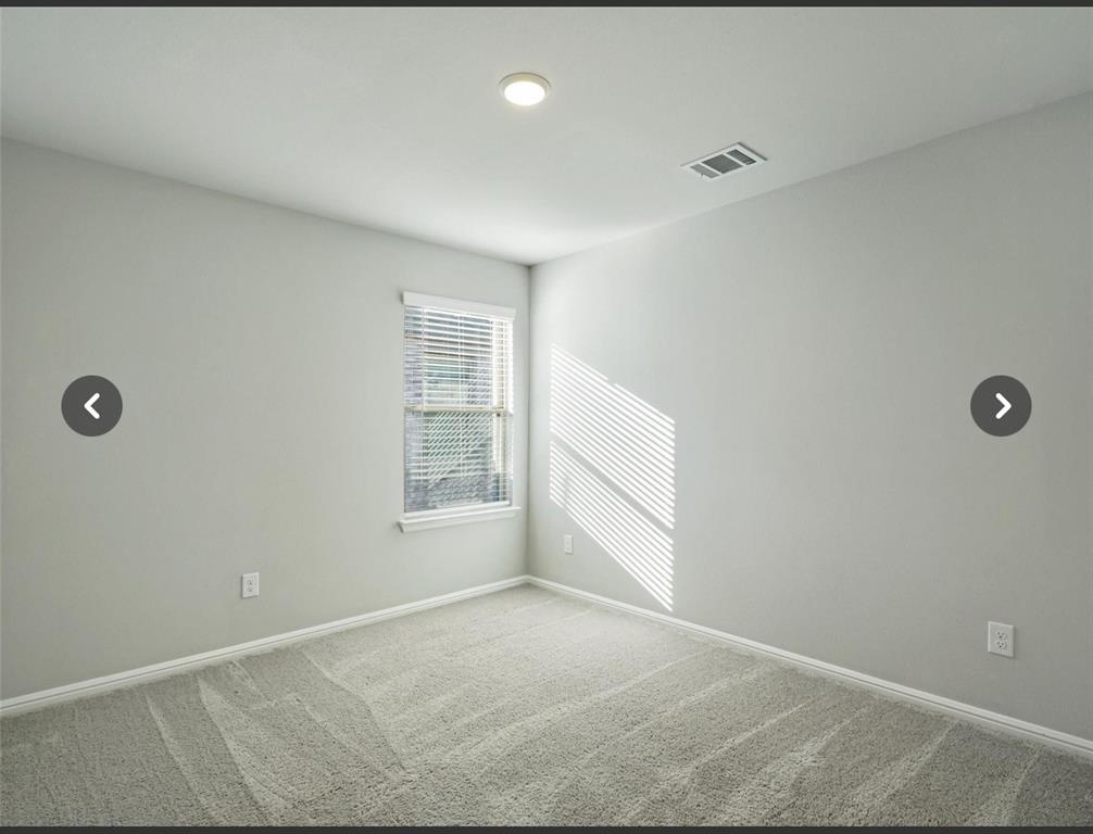 14219 Aberavon Drive Pilot Point, TX 76258 - Photo 23 of 25 an empty room with windows