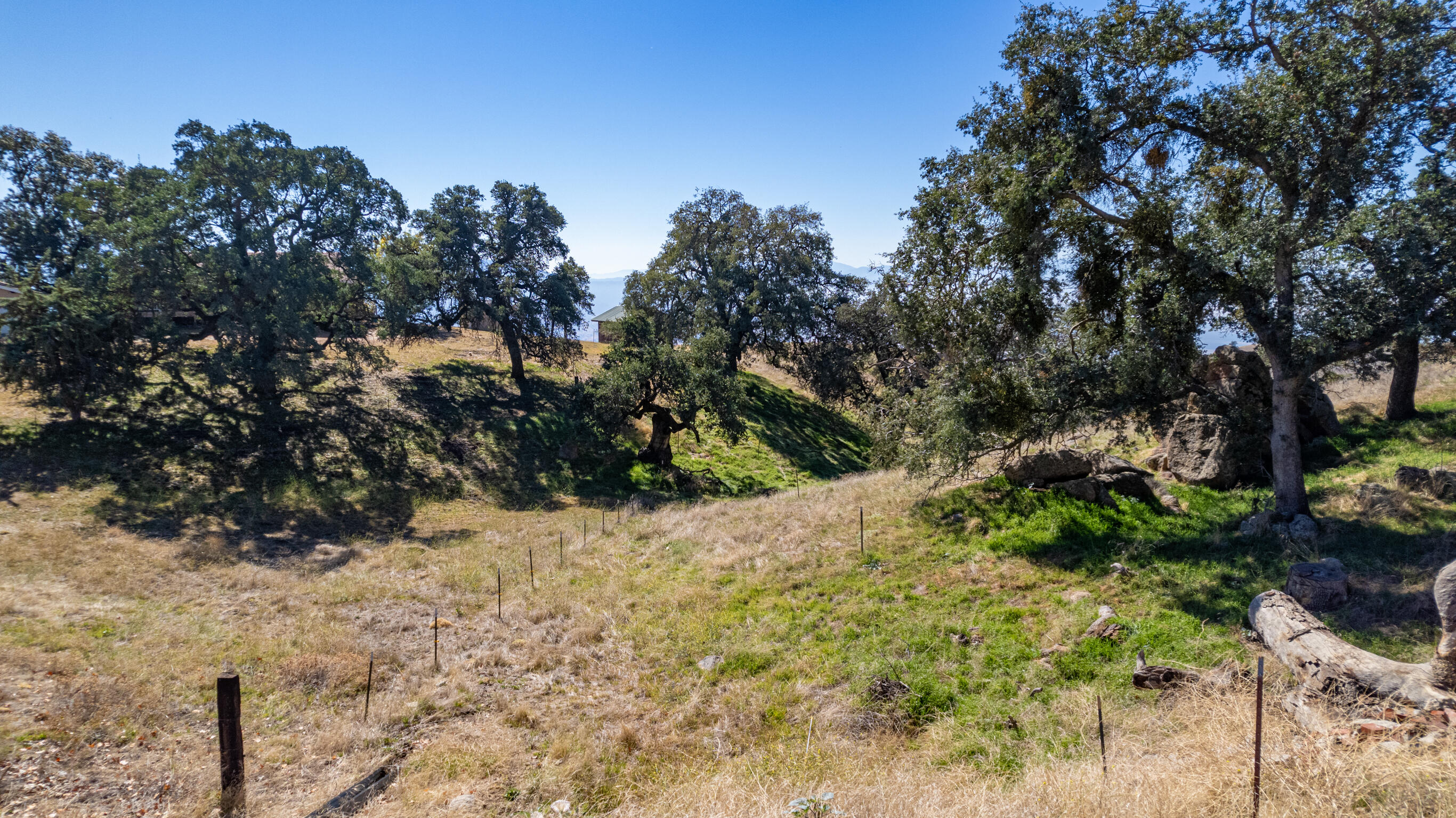 Percheron Place Tehachapi, CA 93561 - Photo 10 of 14 a view of a yard with plants and trees