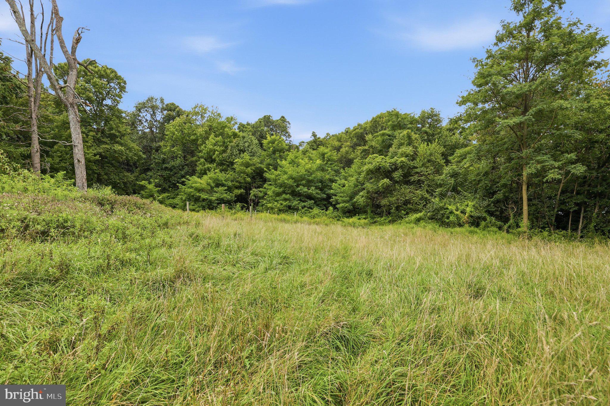 14417 Ridenour Road Smithsburg, MD 21783 - Photo 29 of 41 Land