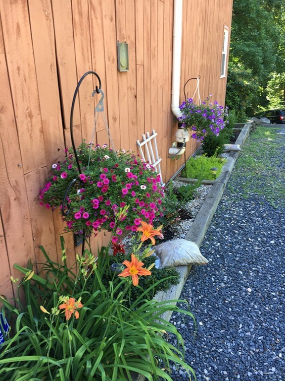 6 Dolan Road Millbury, MA 01527 - Photo 29 of 30 a picture of flowers