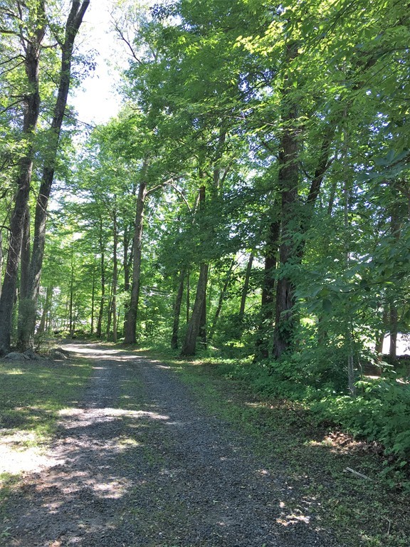 6 Dolan Road Millbury, MA 01527 - Photo 30 of 30 a view of outdoor space with trees all around