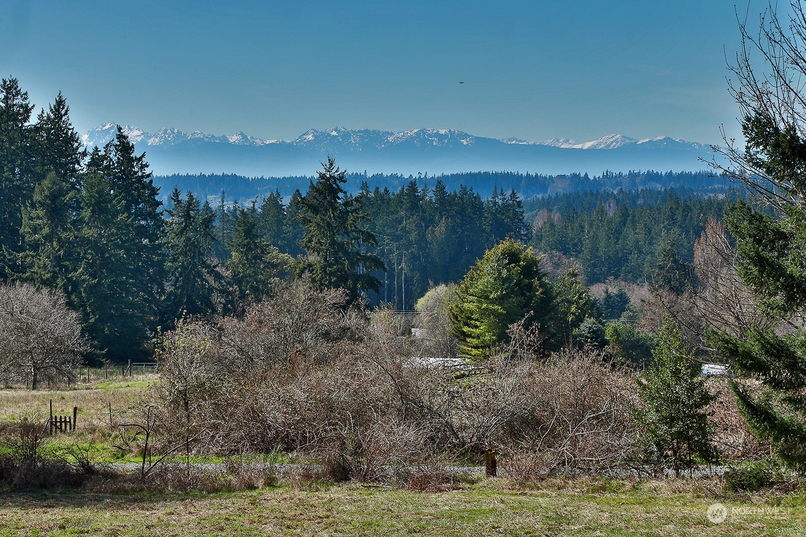 2903 Grimm Road Langley, WA 98260 - Photo 2 of 36 Gallery Image 2