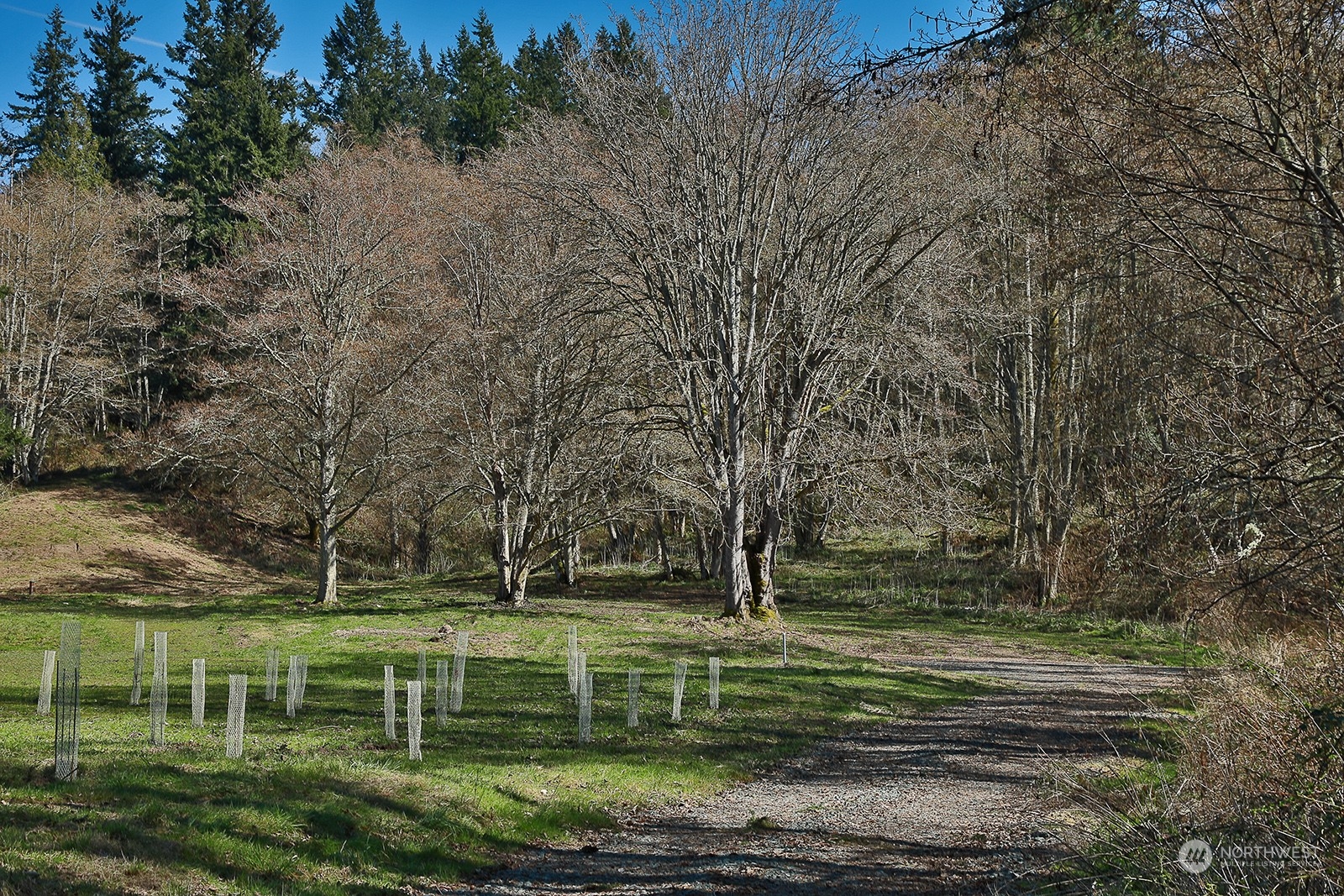 2903 Grimm Road Langley, WA 98260 - Photo 28 of 36 Gallery Image 28