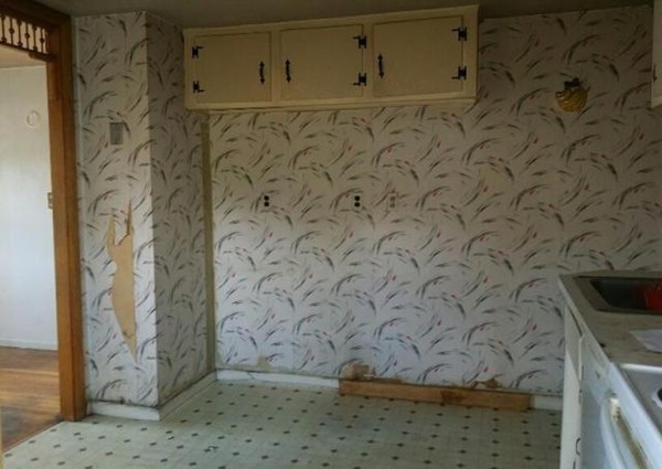 19 Dodge Road Boston, MA 02136 - Photo 7 of 16 a bathroom with a shower