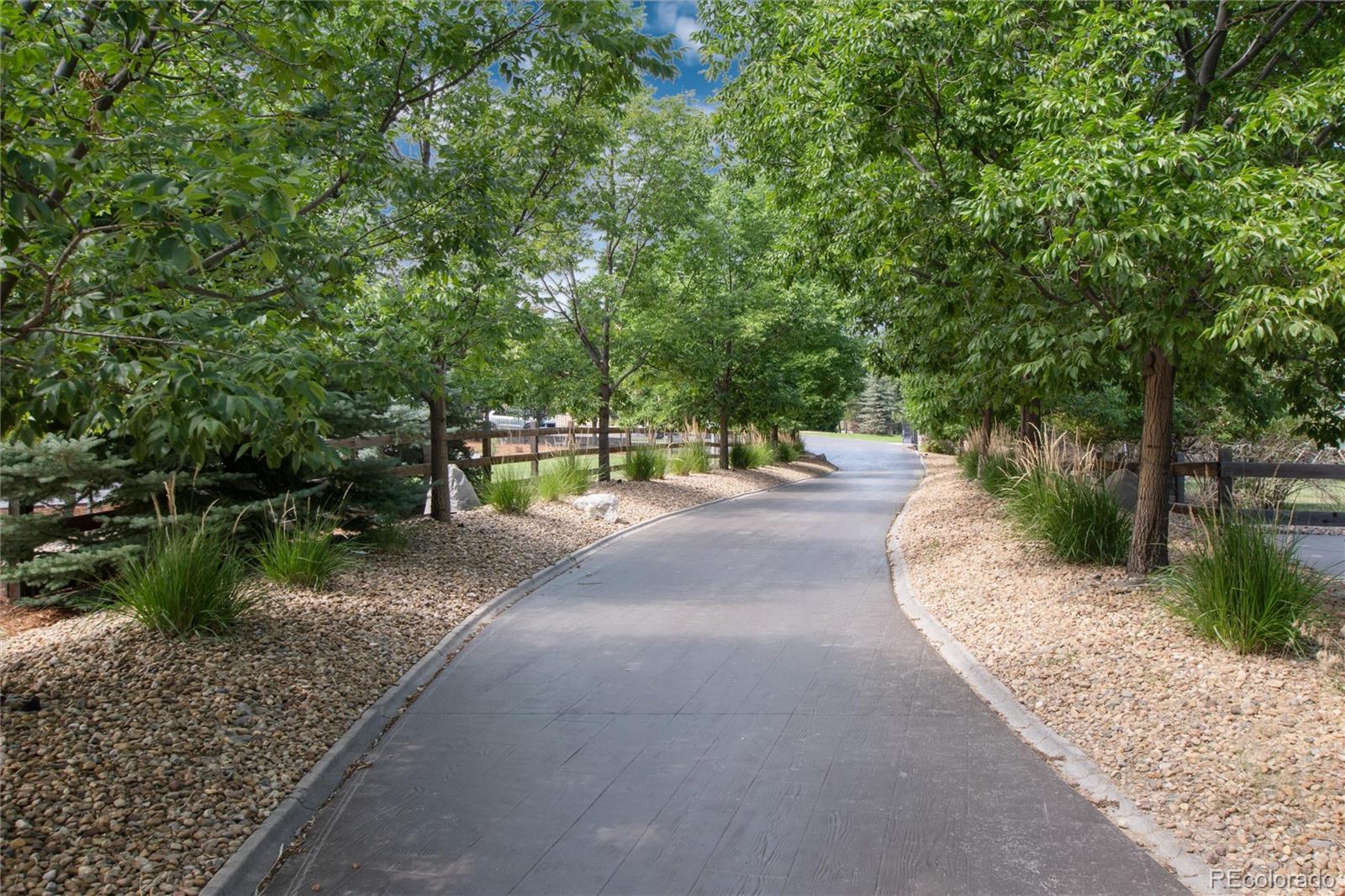 8417 High Ridge Court Castle Pines, CO 80108 - Photo 2 of 48 a view of street view