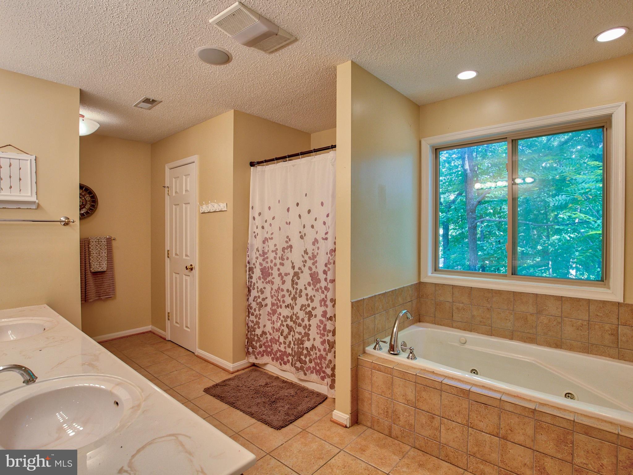 6 Split Rail Road Front Royal, VA 22630 - Photo 16 of 30 Separate Whirpool Tub/Shower/Double Vanity