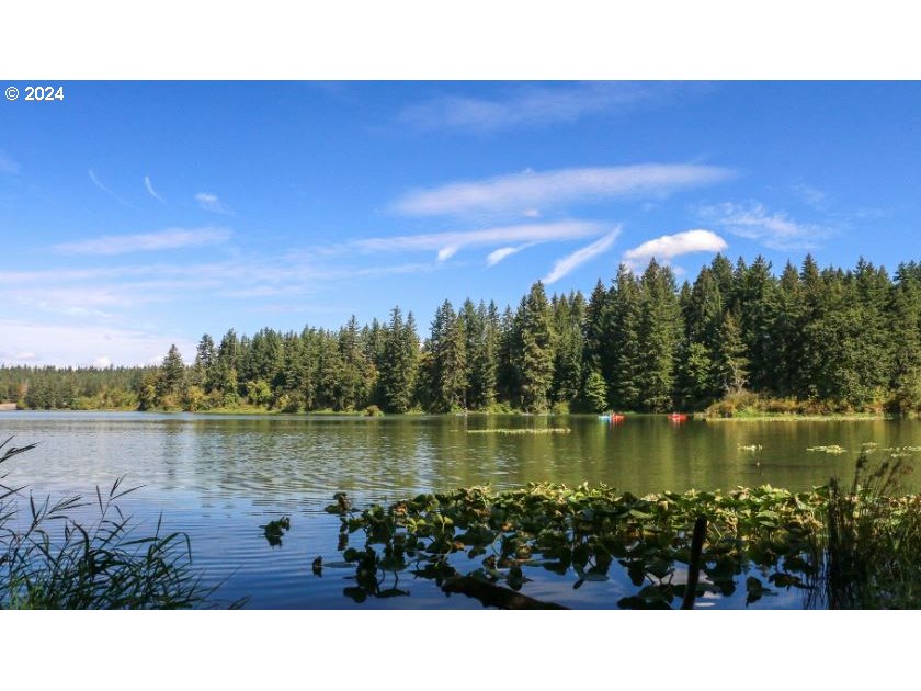 7606 Northwest Payne Street Camas, WA 98607 - Photo 38 of 38 a view of a lake with a building in the background