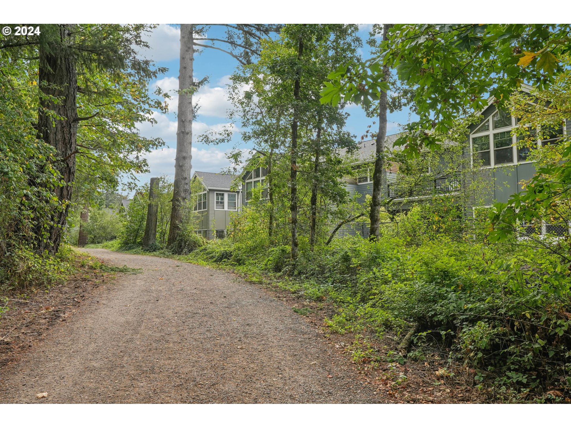 7606 Northwest Payne Street Camas, WA 98607 - Photo 7 of 38 a view of a yard and large trees