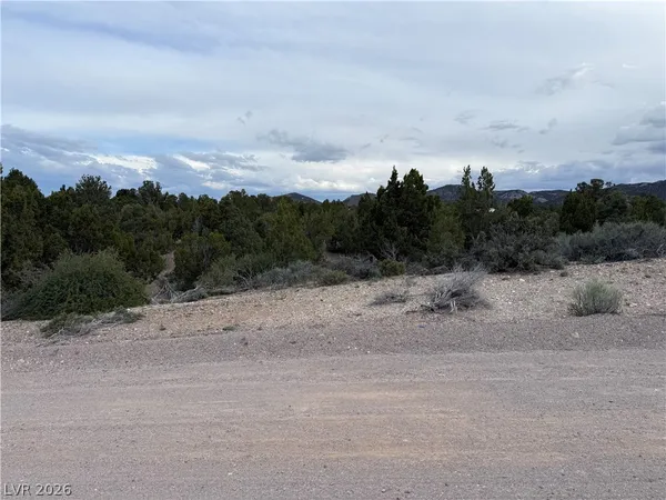 $62,500 | 0 Timber Crest Way, Pioche, NV 89043