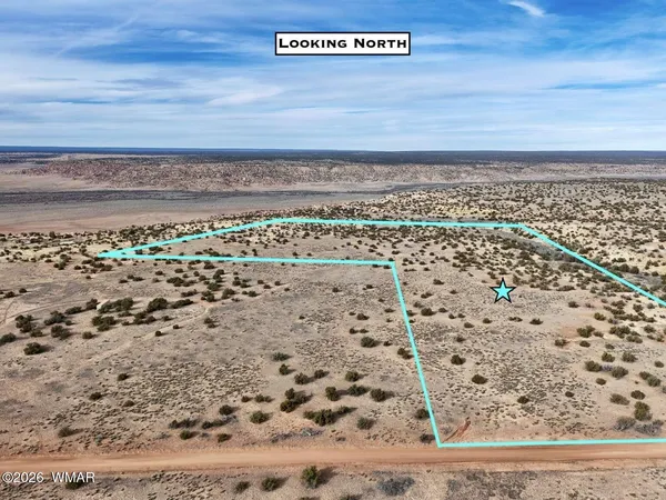 $23,997 | 191 Sierra Highlands Road, St. Johns, AZ 85936