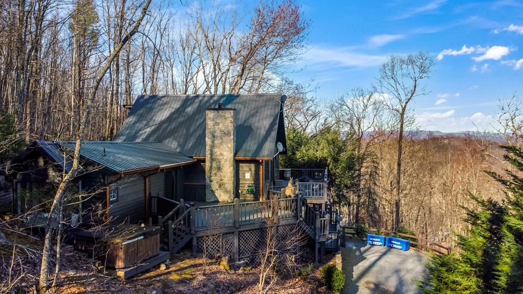 368 Green Ridge Mountain Blue Ridge, GA 30513 - Photo 3 of 64