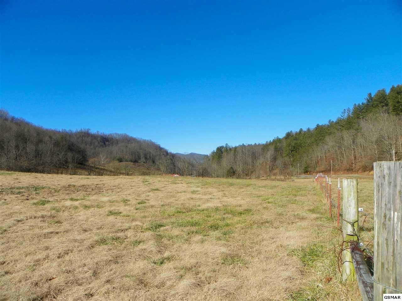 1085 Highway 107 Del Rio, TN 37727 - Photo 28 of 32