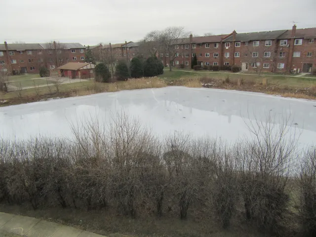 $1,625 | 135 Pickwick Drive, Unit E, Schaumburg, IL 60193