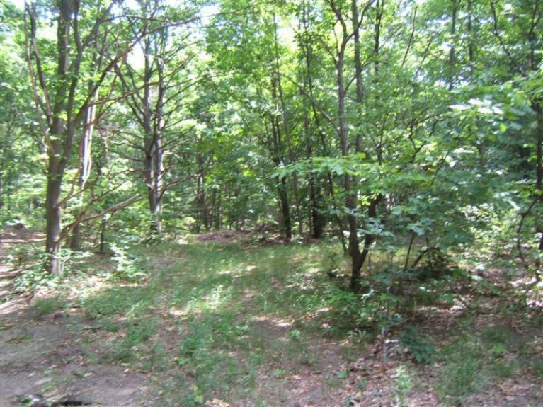 9500 West Pierce Road Shelby, MI 49455 - Photo 6 of 9 Additional Photo