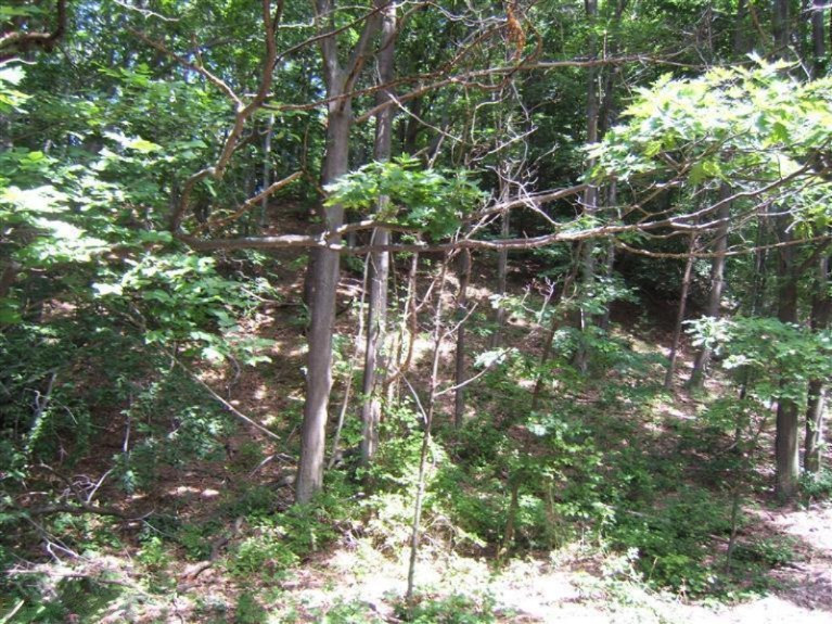 9500 West Pierce Road Shelby, MI 49455 - Photo 9 of 9 Additional Photo