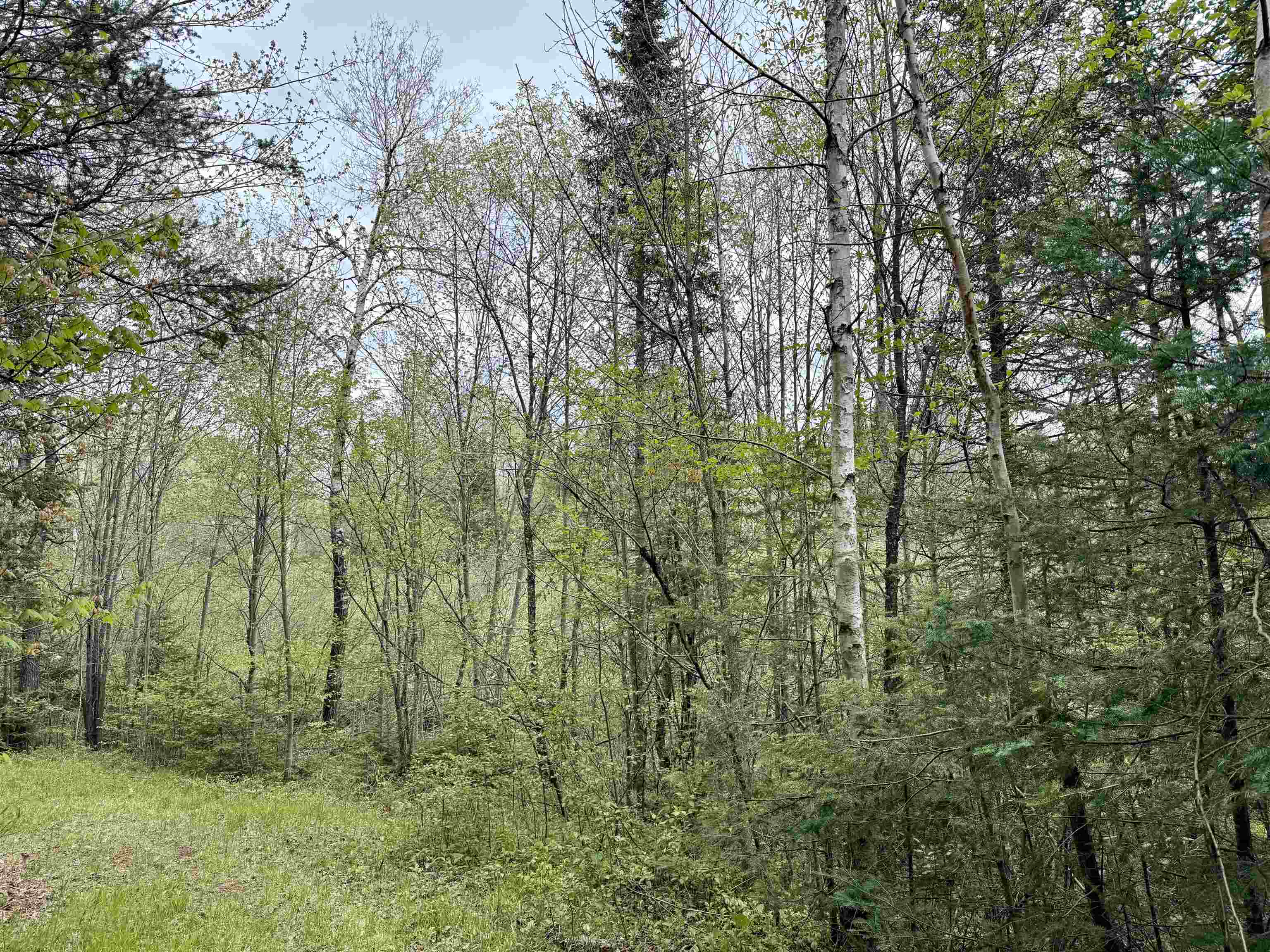 0 Garvin Place Tripoli, WI 54564 - Photo 11 of 18