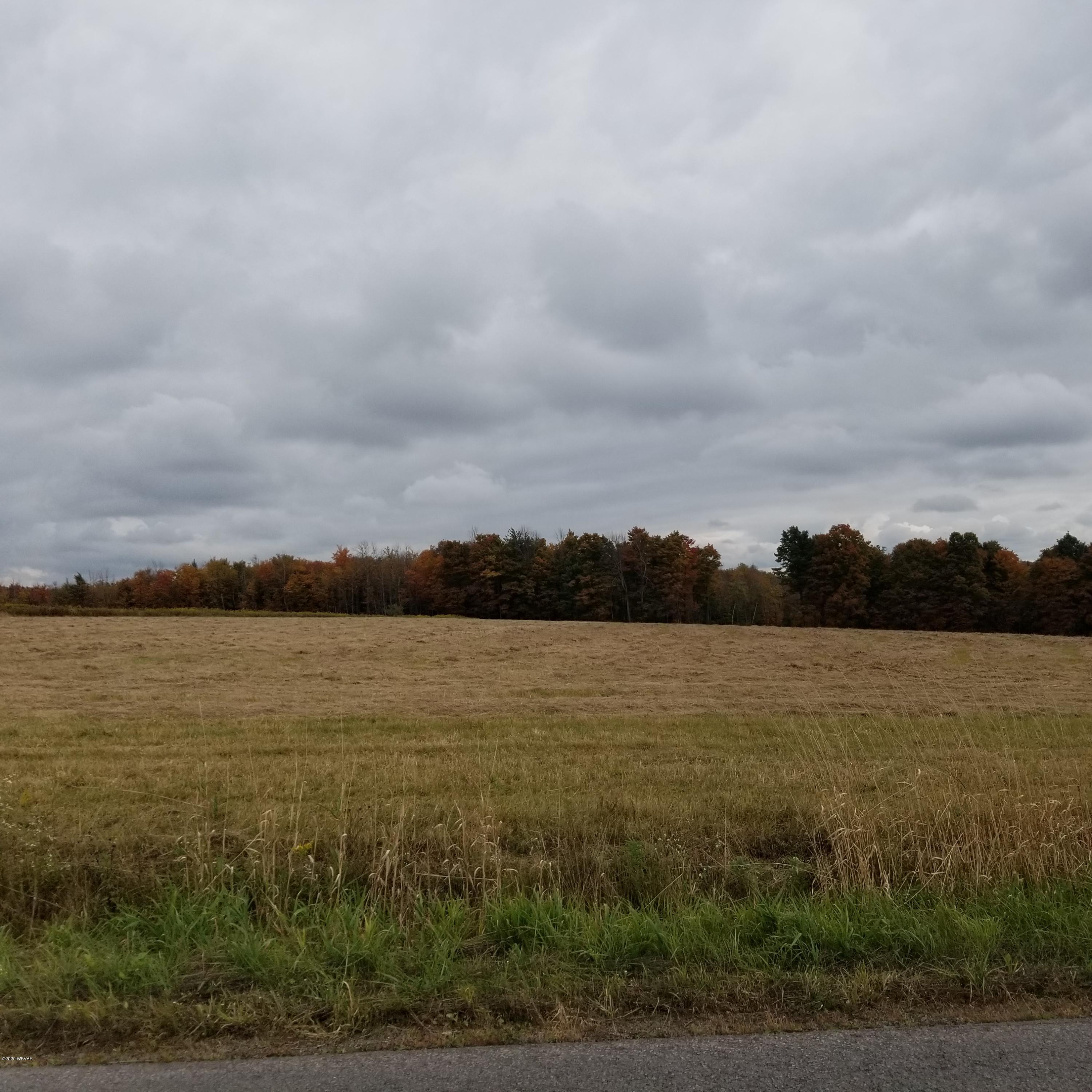 Mountain Road, Unit 5 Dushore, PA 18614 - Photo 4 of 9 Gallery Image 4