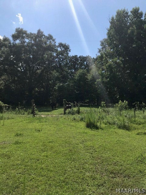 355 Merritt Hay Road Lapine, AL 36046 - Photo 2 of 13 Gallery Image 2