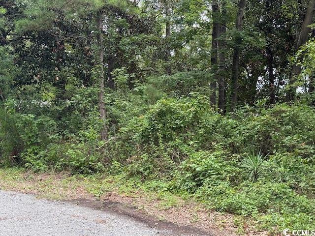 3591 Adam Court Murrells Inlet, SC 29576 - Photo 5 of 12 View of tree filled area