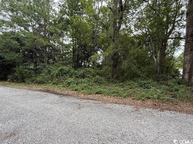 3591 Adam Court Murrells Inlet, SC 29576 - Photo 6 of 12 View of dirt / gravel road