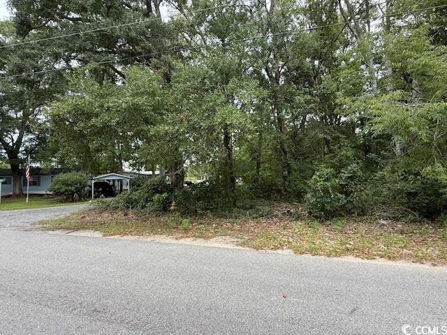 3591 Adam Court Murrells Inlet, SC 29576 - Photo 7 of 12 View of asphalt street