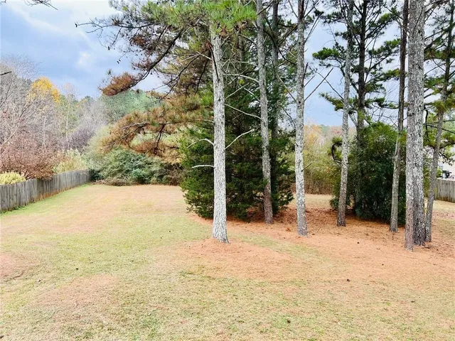a view of backyard with tree
