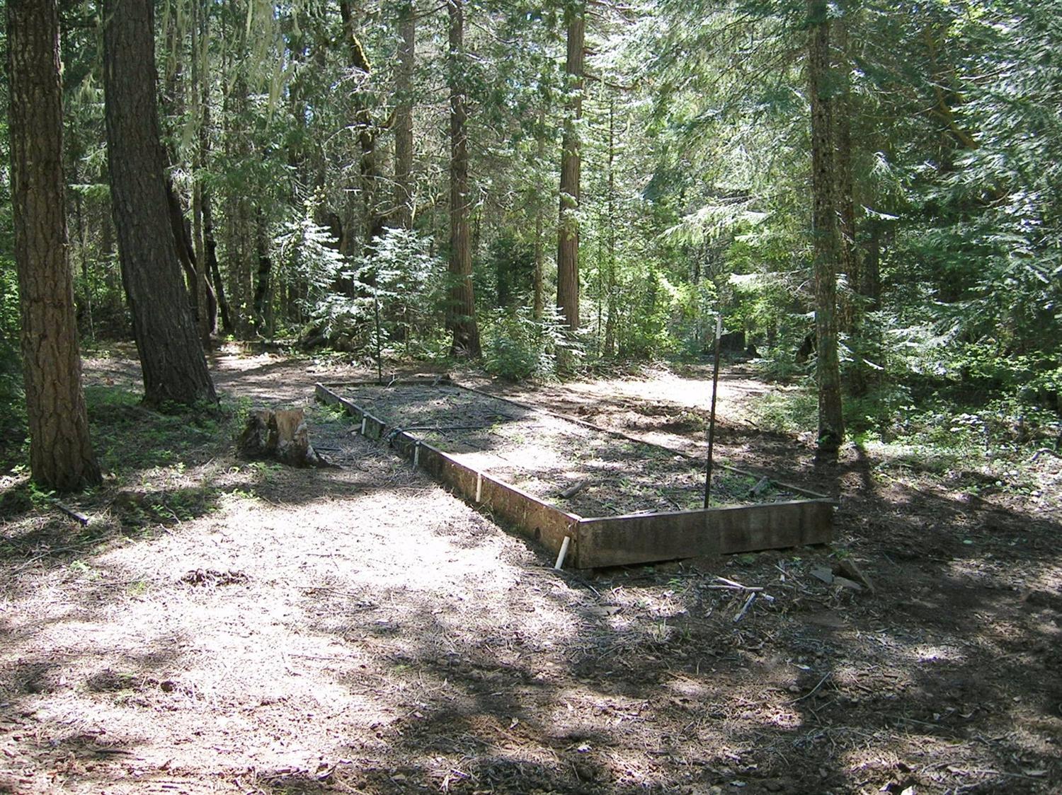 834 Ulrich Road Prospect, OR 97536 - Photo 19 of 25 Additional Photo