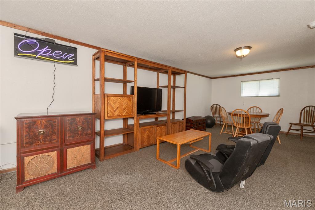 4456 Butler Hill Road St. Louis, MO 63128 - Photo 50 of 74 Gallery Image 50