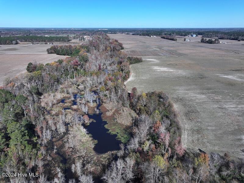 0 Wire Grass Road Lumberton, NC 28358 - Photo 10 of 22 DJI_20241203115553_0435_D