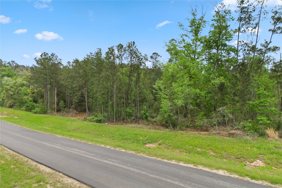 11800 Grand N Road Willis, TX 77378 - Photo 11 of 16