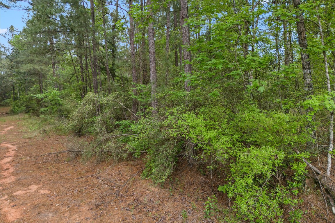 11800 Grand N Road Willis, TX 77378 - Photo 12 of 16