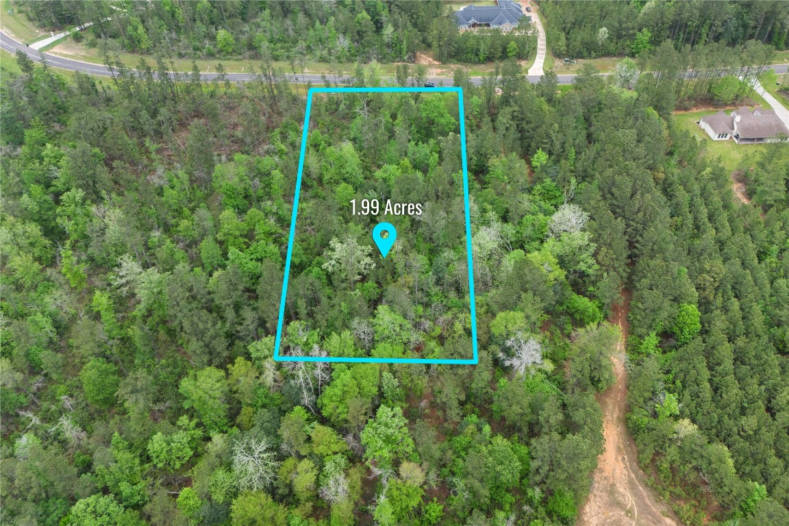 11800 Grand N Road Willis, TX 77378 - Photo 2 of 16