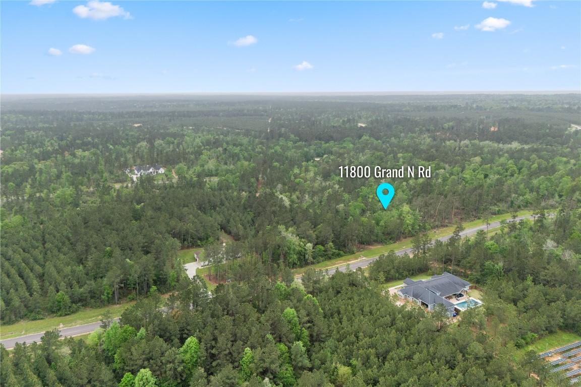 11800 Grand N Road Willis, TX 77378 - Photo 3 of 16