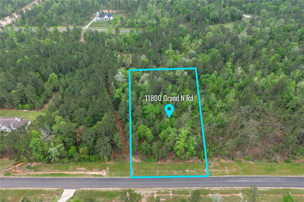 11800 Grand N Road Willis, TX 77378 - Photo 5 of 16