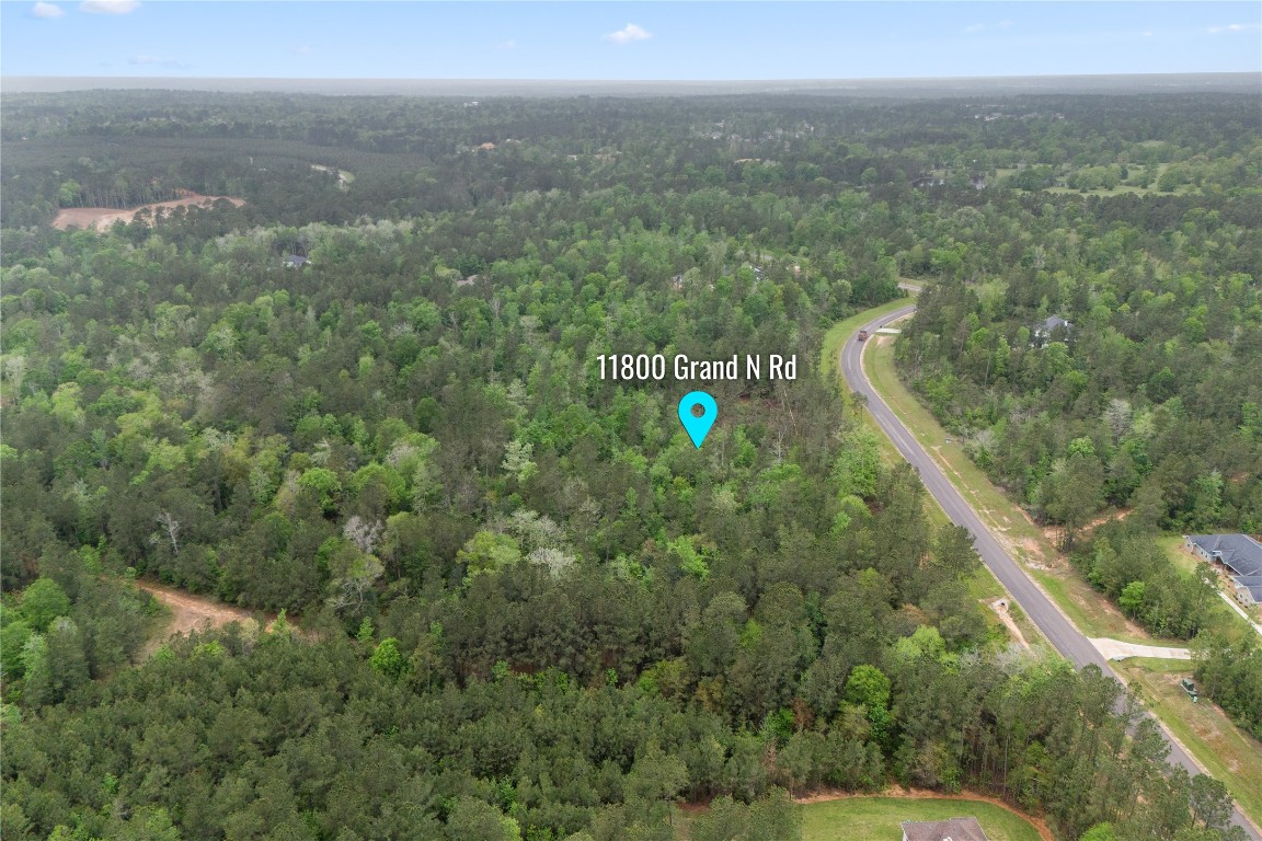 11800 Grand N Road Willis, TX 77378 - Photo 6 of 16