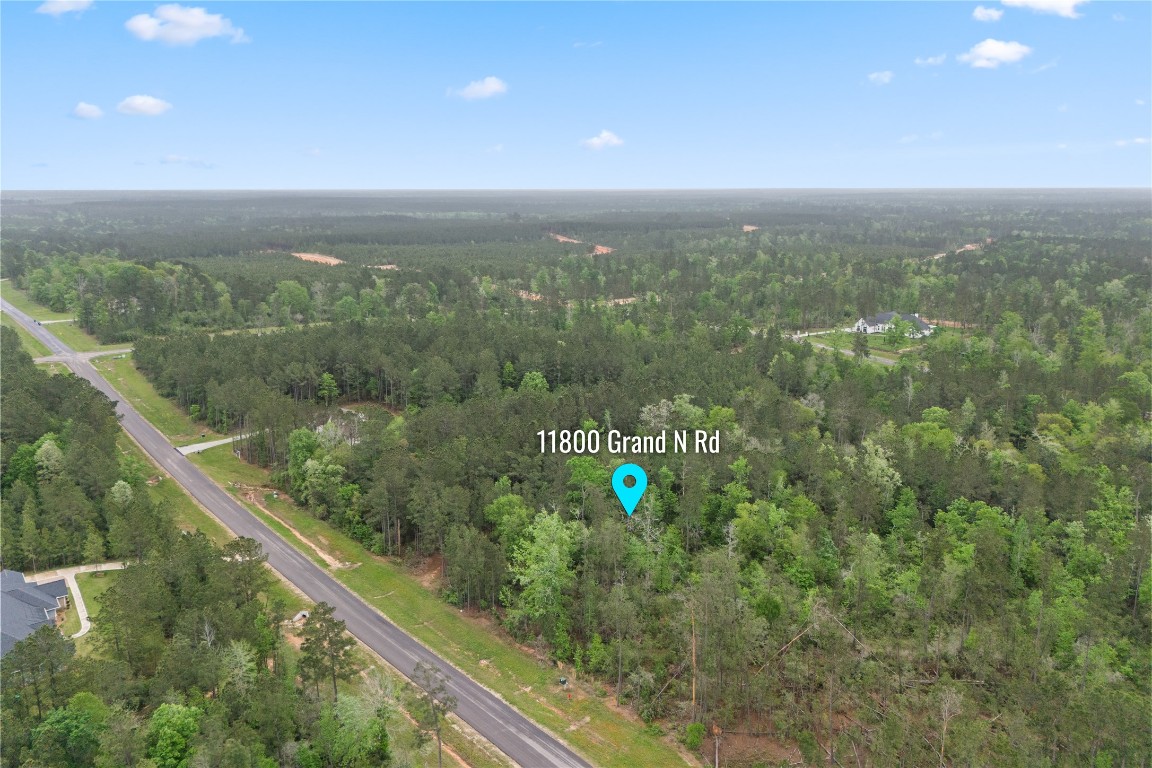 11800 Grand N Road Willis, TX 77378 - Photo 7 of 16