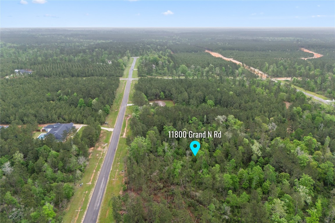 11800 Grand N Road Willis, TX 77378 - Photo 8 of 16