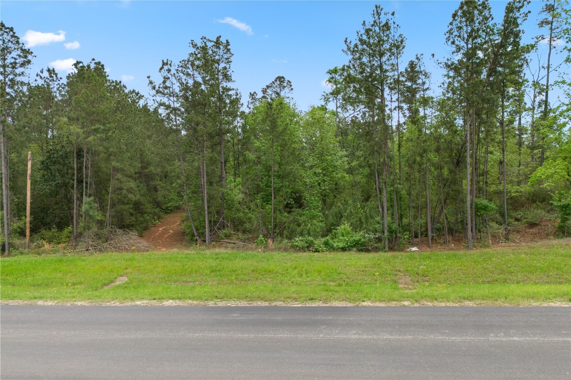 11800 Grand N Road Willis, TX 77378 - Photo 10 of 16