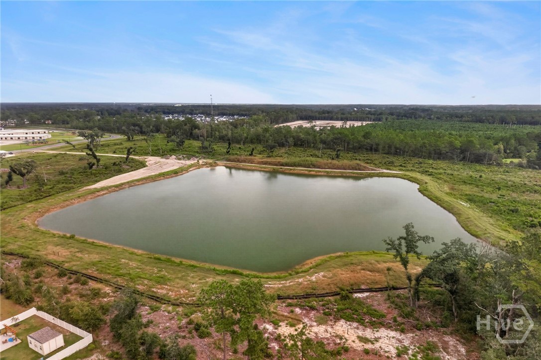 220 Blandford Crossing Rincon, GA 31326 - Photo 74 of 75 Gallery Image 74