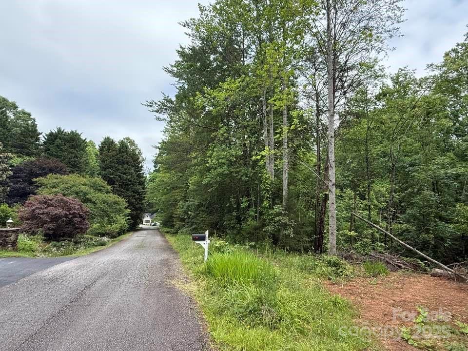 0 Woody Circle, Unit 11 Tryon, NC 28782 - Photo 2 of 10 a view of a forest with trees