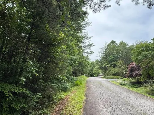 a view of a yard with plants and a tree
