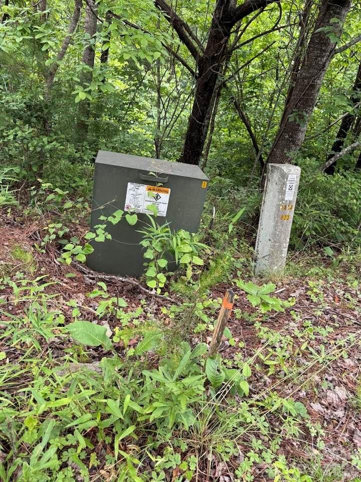 0 Woody Circle, Unit 11 Tryon, NC 28782 - Photo 5 of 10