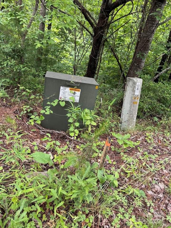 0 Woody Circle, Unit 11 Tryon, NC 28782 - Photo 5 of 10