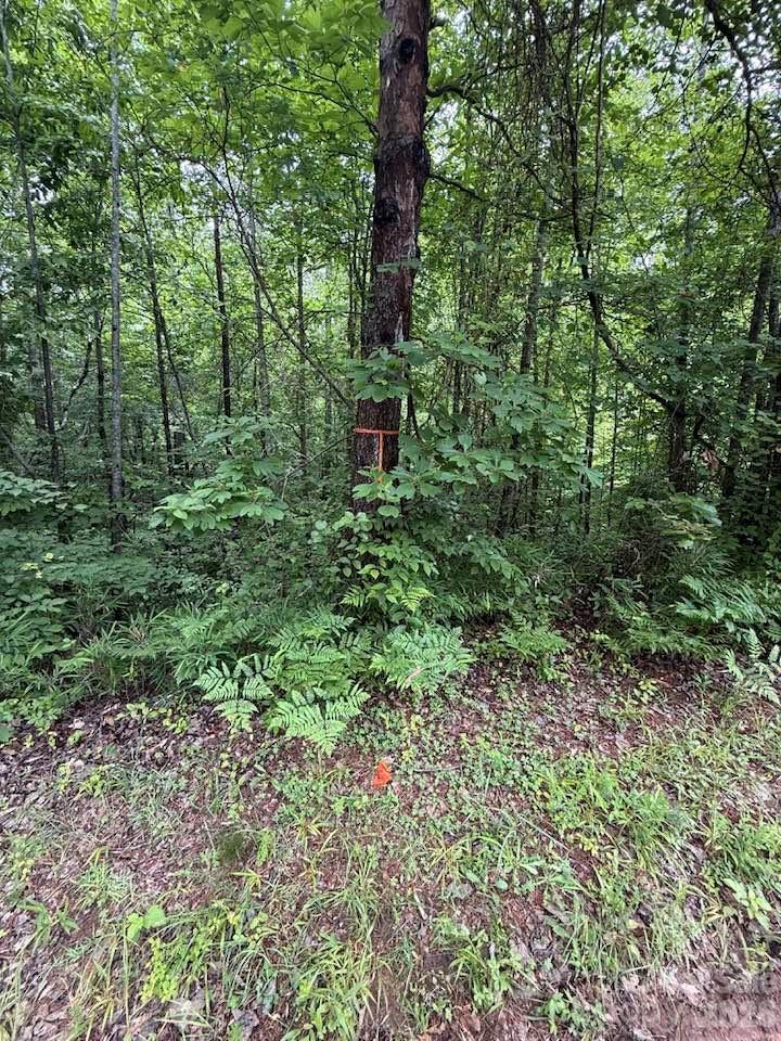 0 Woody Circle, Unit 11 Tryon, NC 28782 - Photo 7 of 10 a view of a garden with a tree