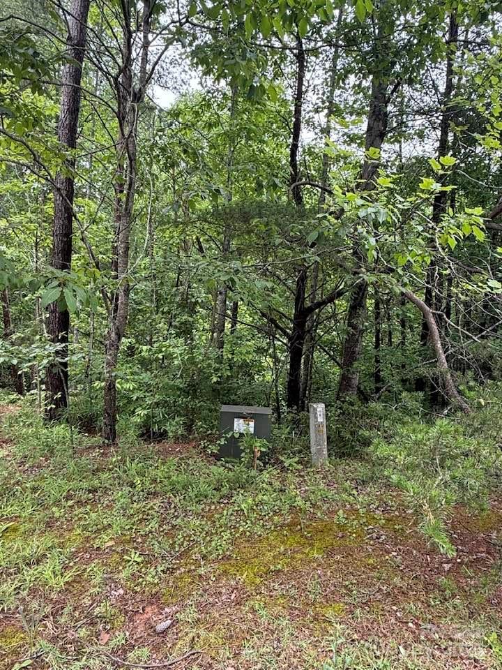 0 Woody Circle, Unit 11 Tryon, NC 28782 - Photo 8 of 10 a backyard of a house with lots of green space