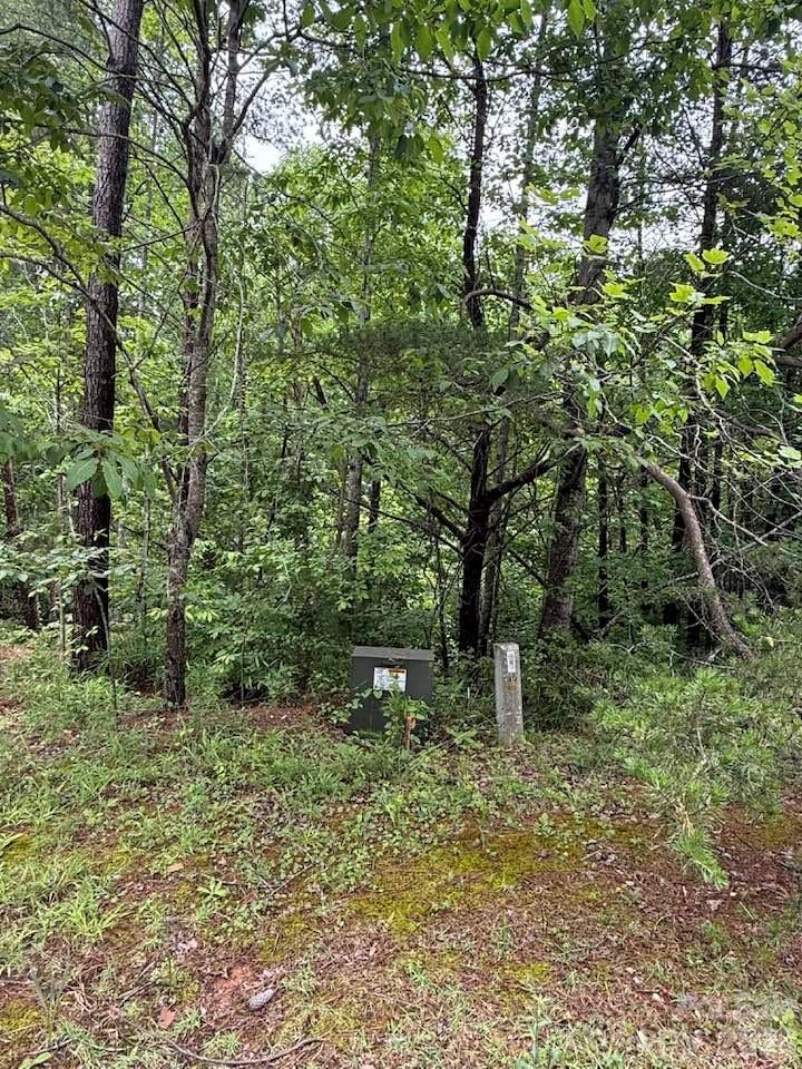 0 Woody Circle, Unit 11 Tryon, NC 28782 - Photo 8 of 10 a backyard of a house with lots of green space