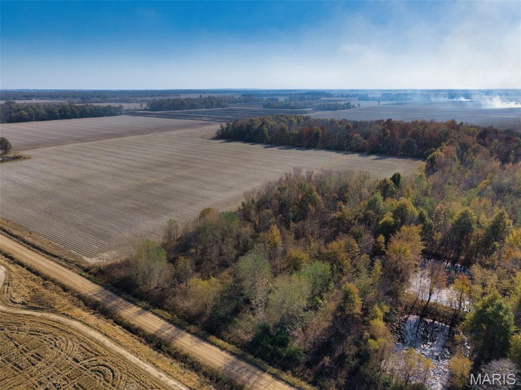 0 County 638 Road Fisk, MO 63940 - Photo 3 of 9