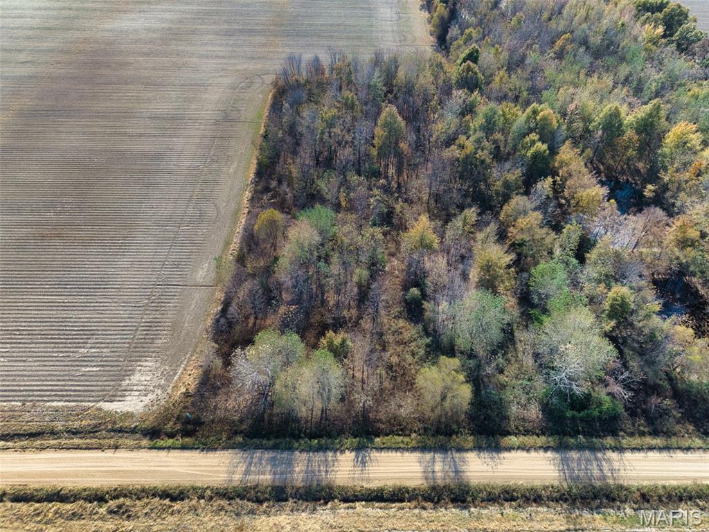 0 County 638 Road Fisk, MO 63940 - Photo 8 of 9