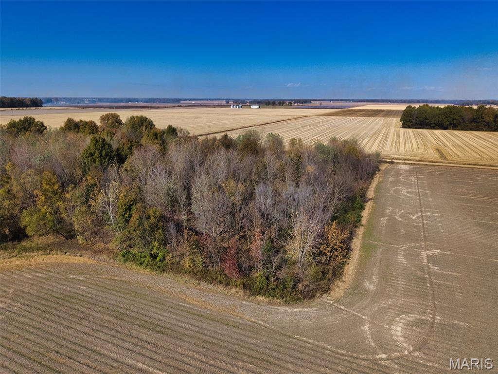 0 County 638 Road Fisk, MO 63940 - Photo 9 of 9